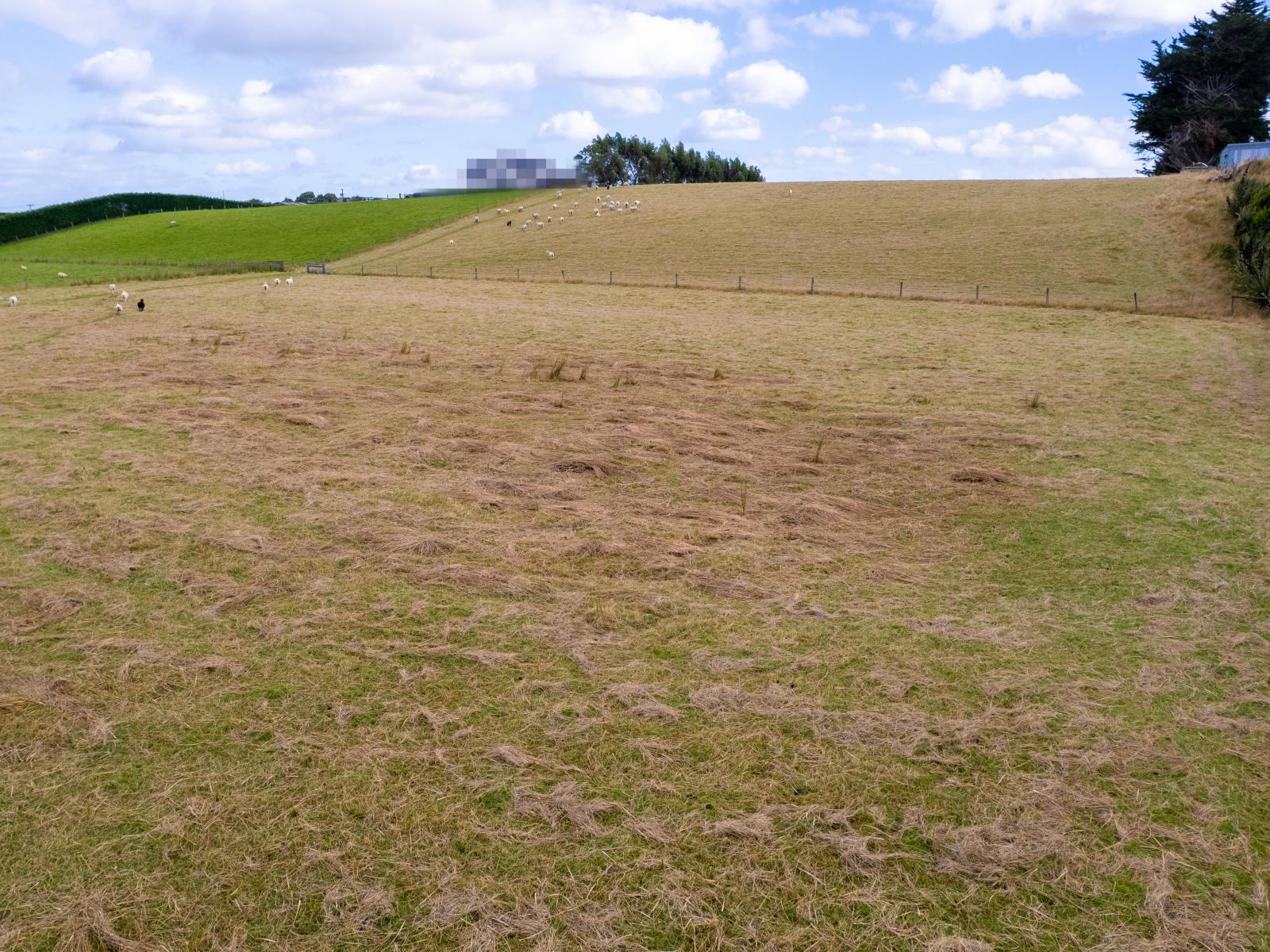 435E Bainfield Road, Waihopai