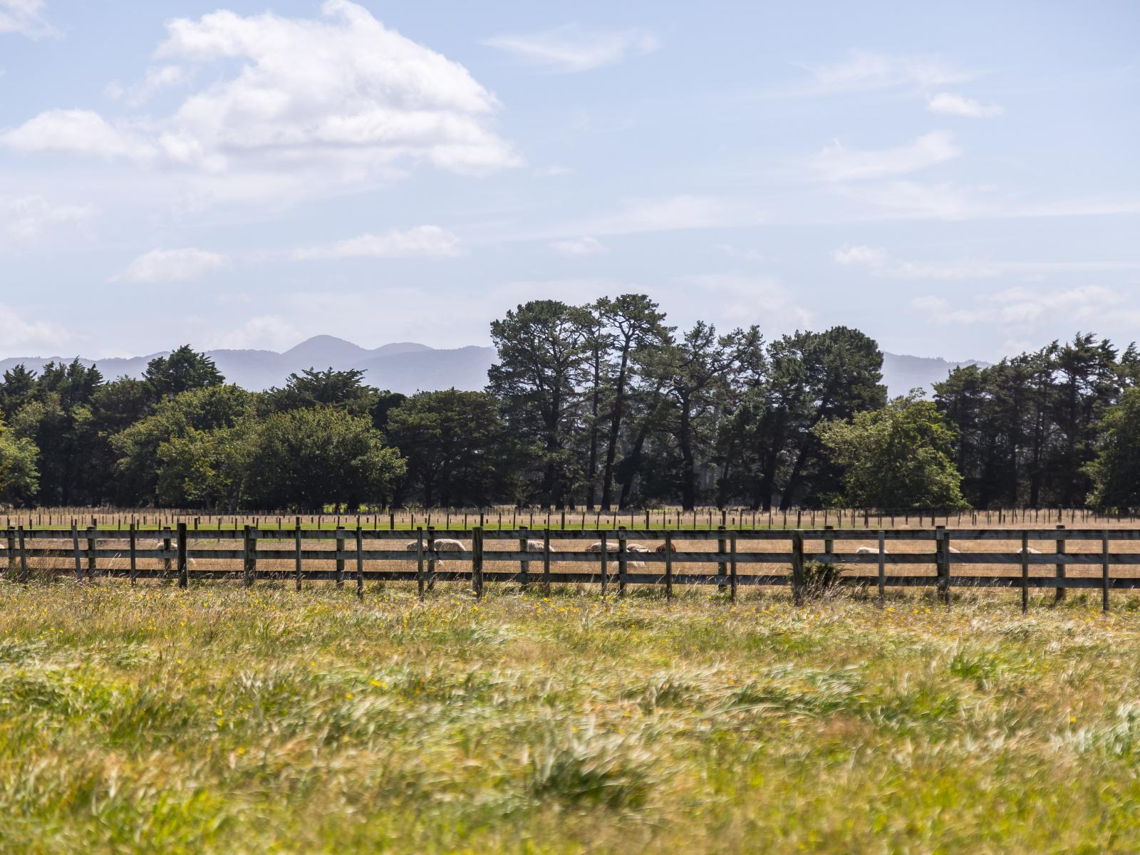 22 Spencer Lane, Greytown