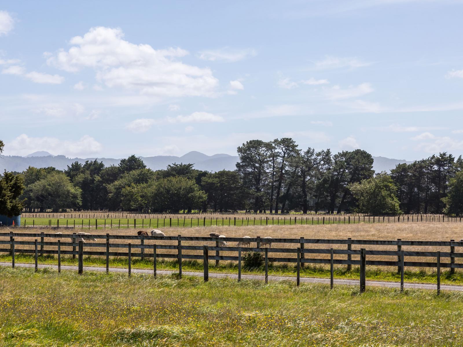 22 Spencer Lane, Greytown