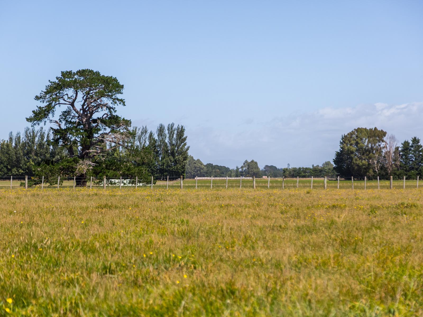 22 Spencer Lane, Greytown