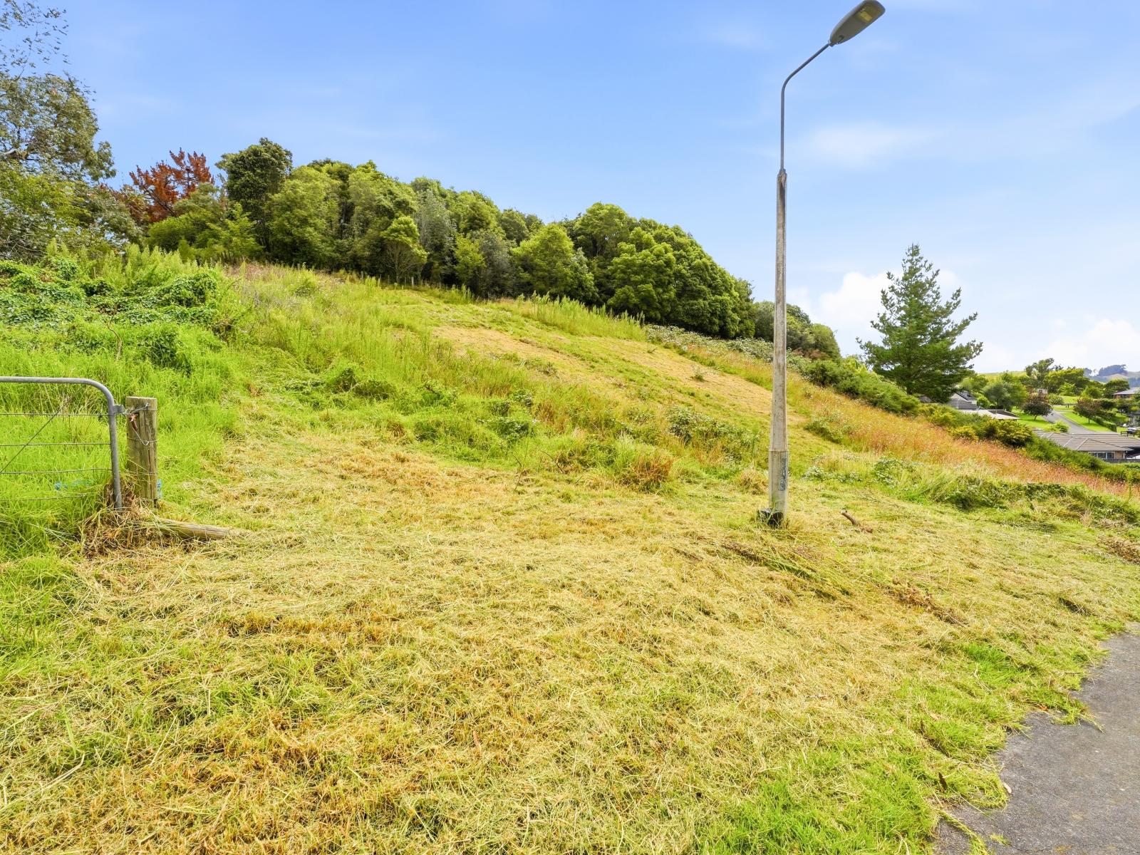 49 Parkdale Drive, Aramoho