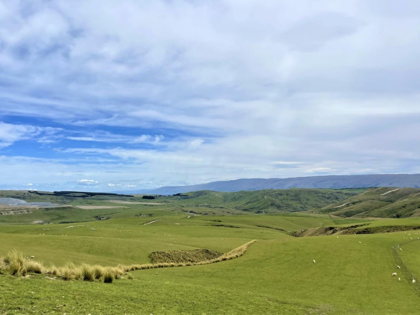 LEASE 540 Four Mile Road and 482 Longdale Road, Hyde