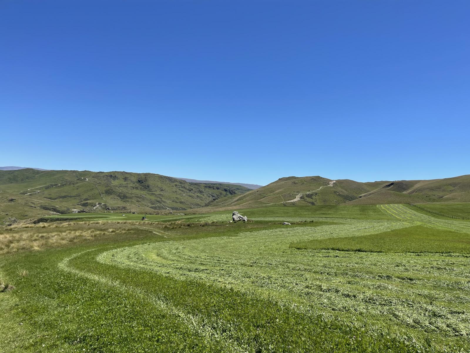 LEASE 540 Four Mile Road and 482 Longdale Road, Hyde