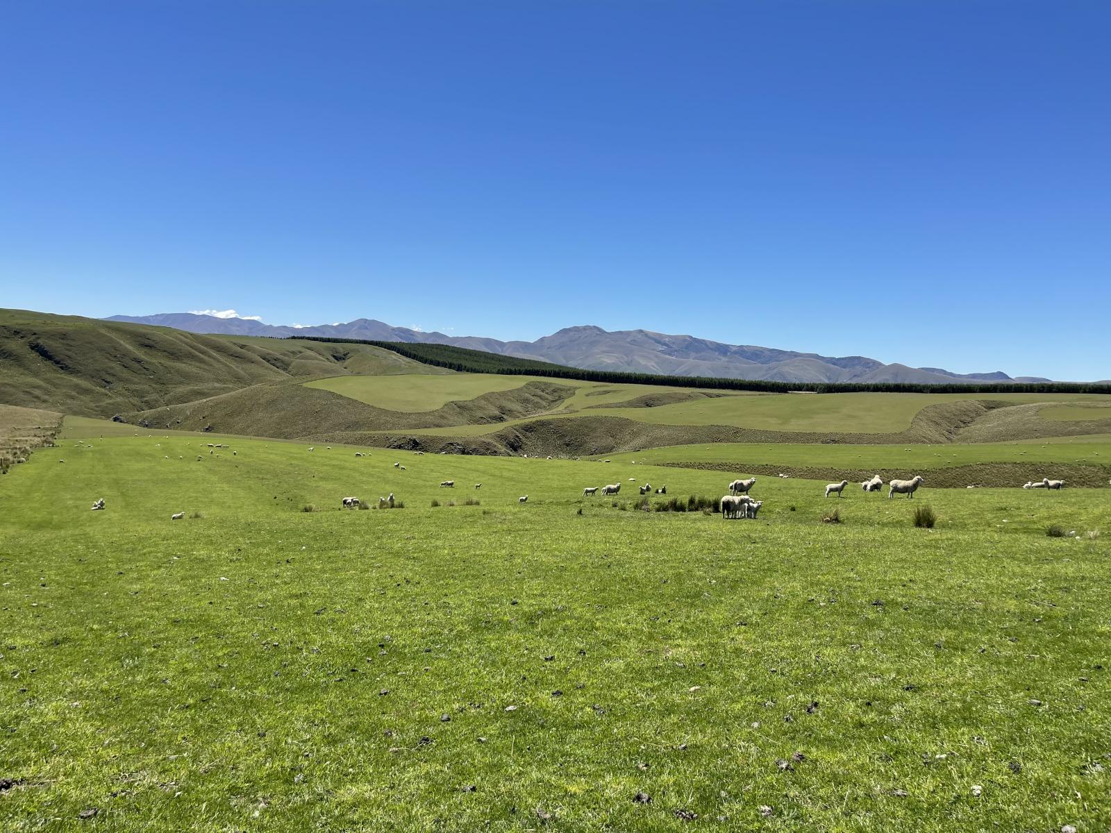 LEASE 540 Four Mile Road and 482 Longdale Road, Hyde