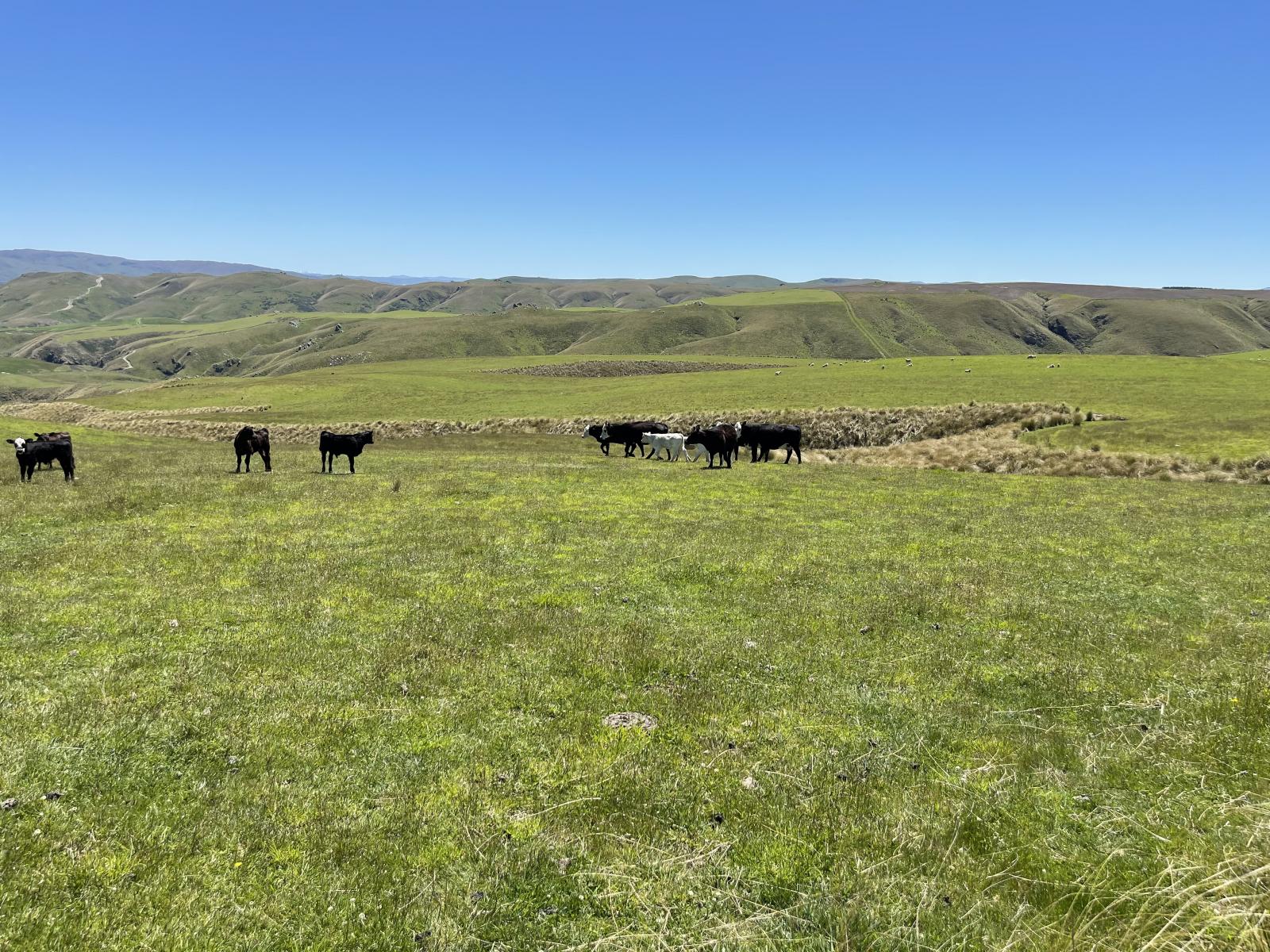 LEASE 540 Four Mile Road and 482 Longdale Road, Hyde