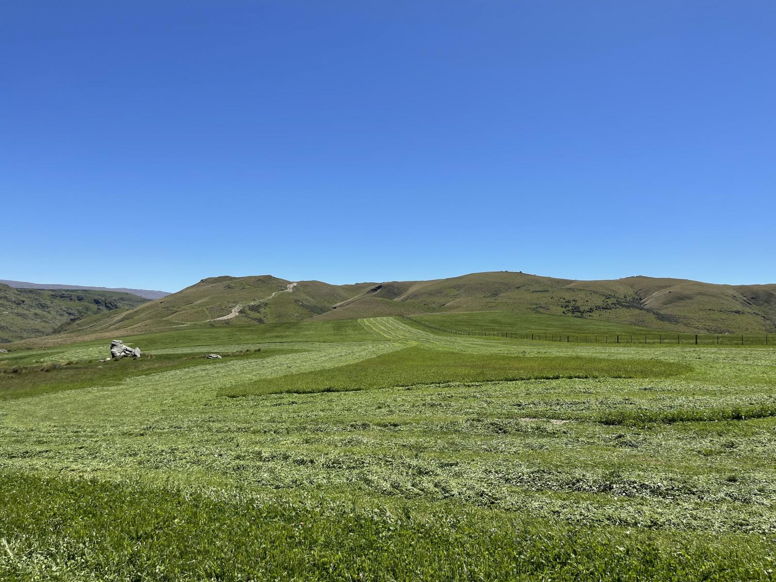 LEASE 540 Four Mile Road and 482 Longdale Road, Hyde