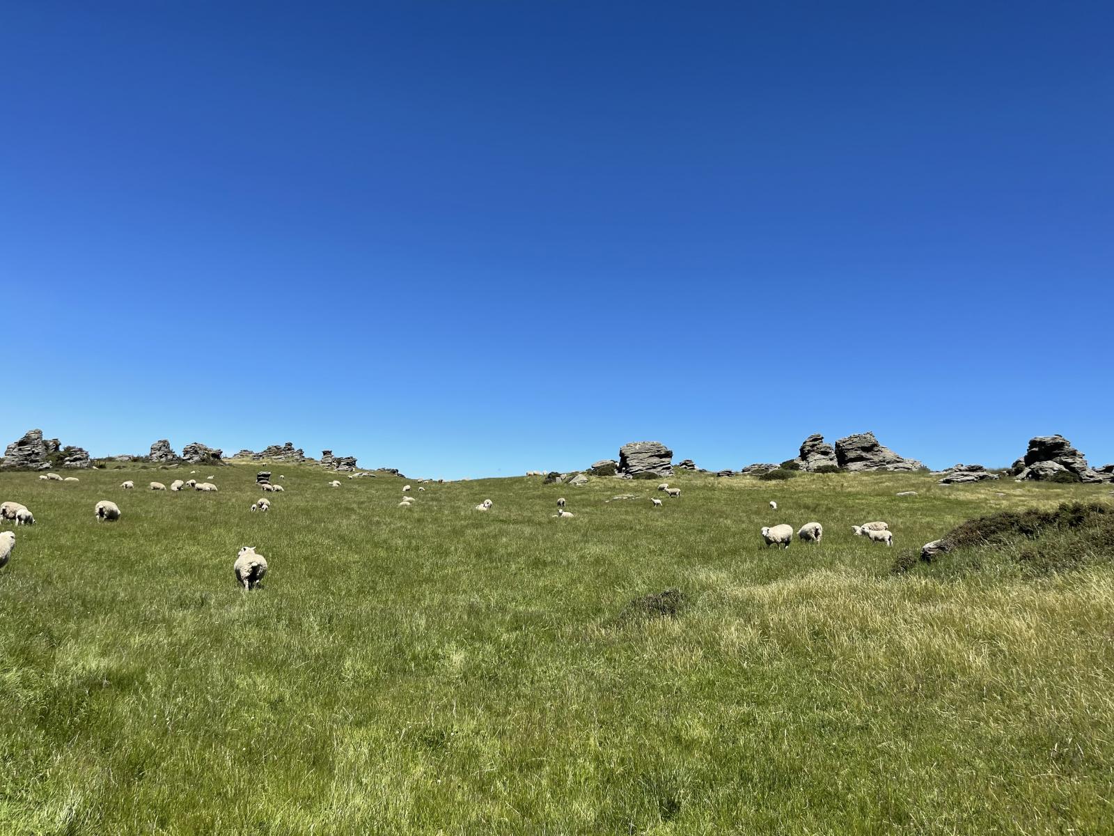 LEASE 540 Four Mile Road and 482 Longdale Road, Hyde