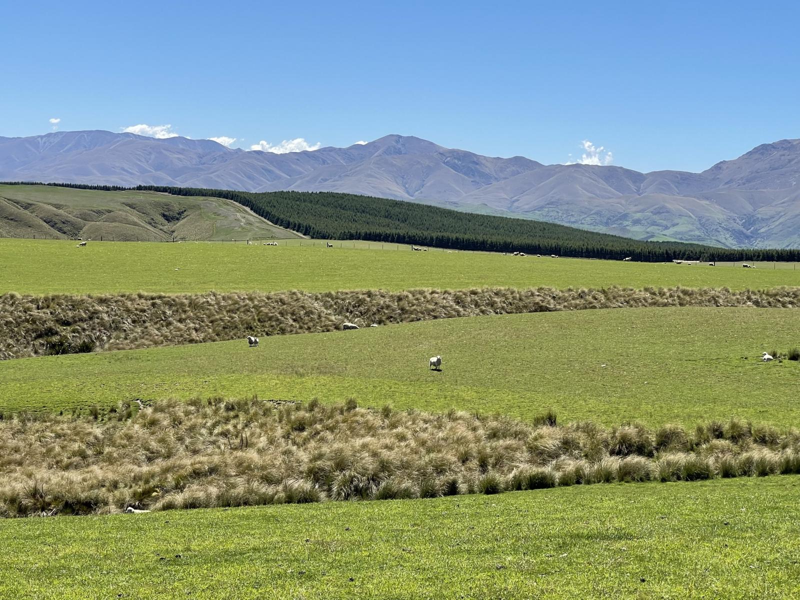 LEASE 540 Four Mile Road and 482 Longdale Road, Hyde