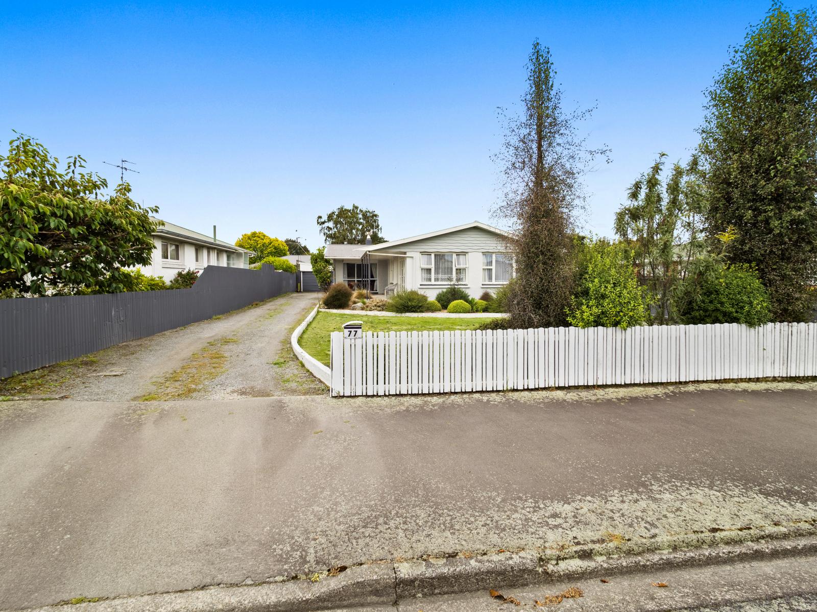 77 Princes Street, Netherby