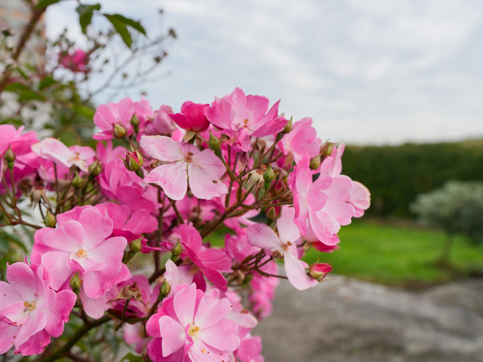 253 Argyle Otahuti Road, Waianiwa