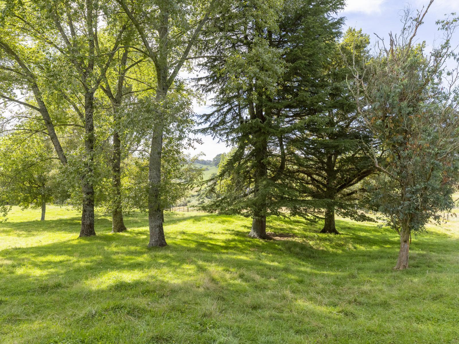 397 Arataki Road, Whakamaru