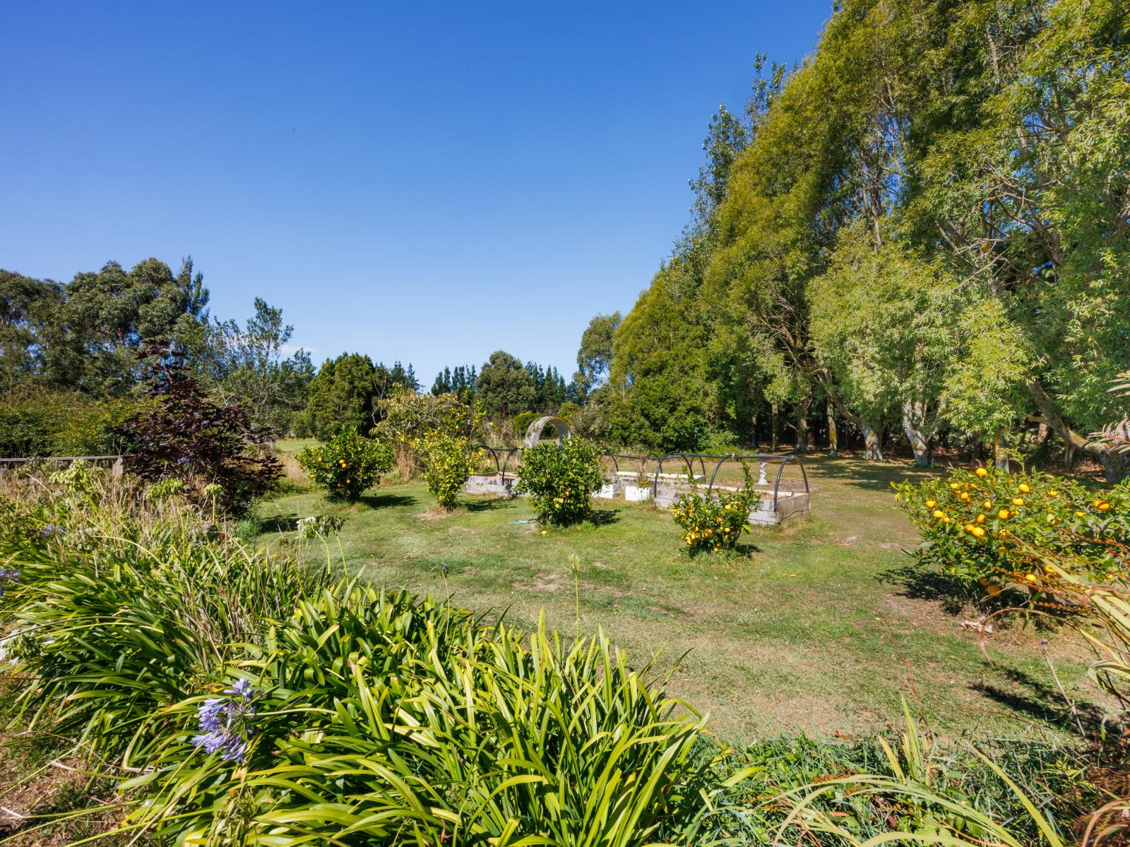 89 Ulysses Road, Ashhurst