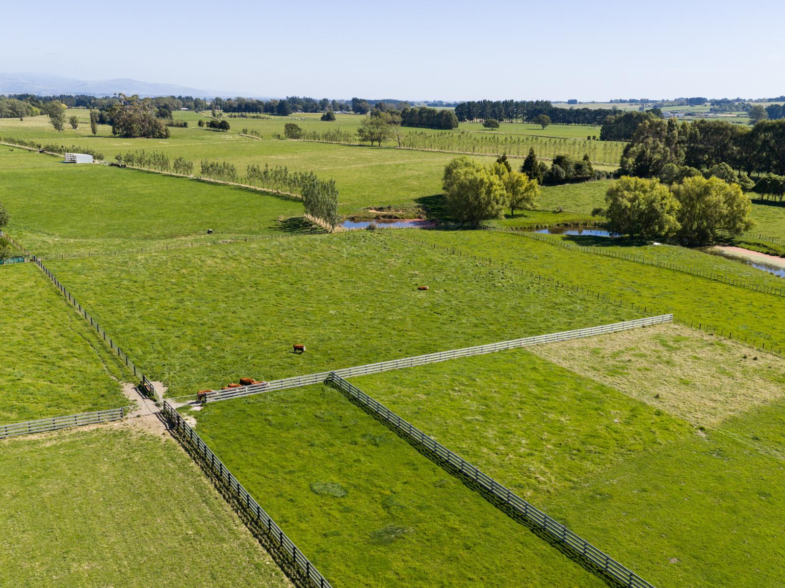 89 Ulysses Road, Ashhurst