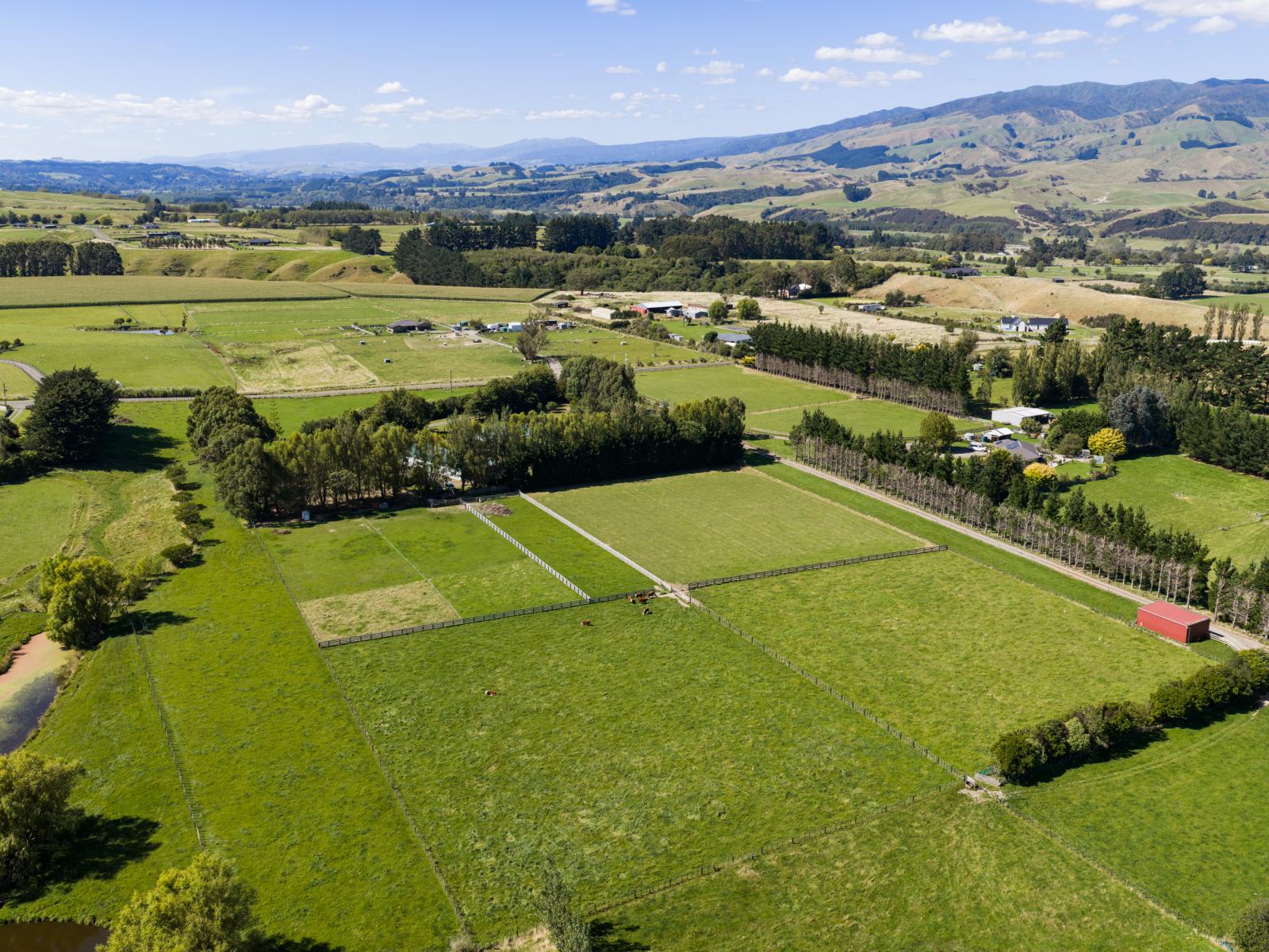 89 Ulysses Road, Ashhurst