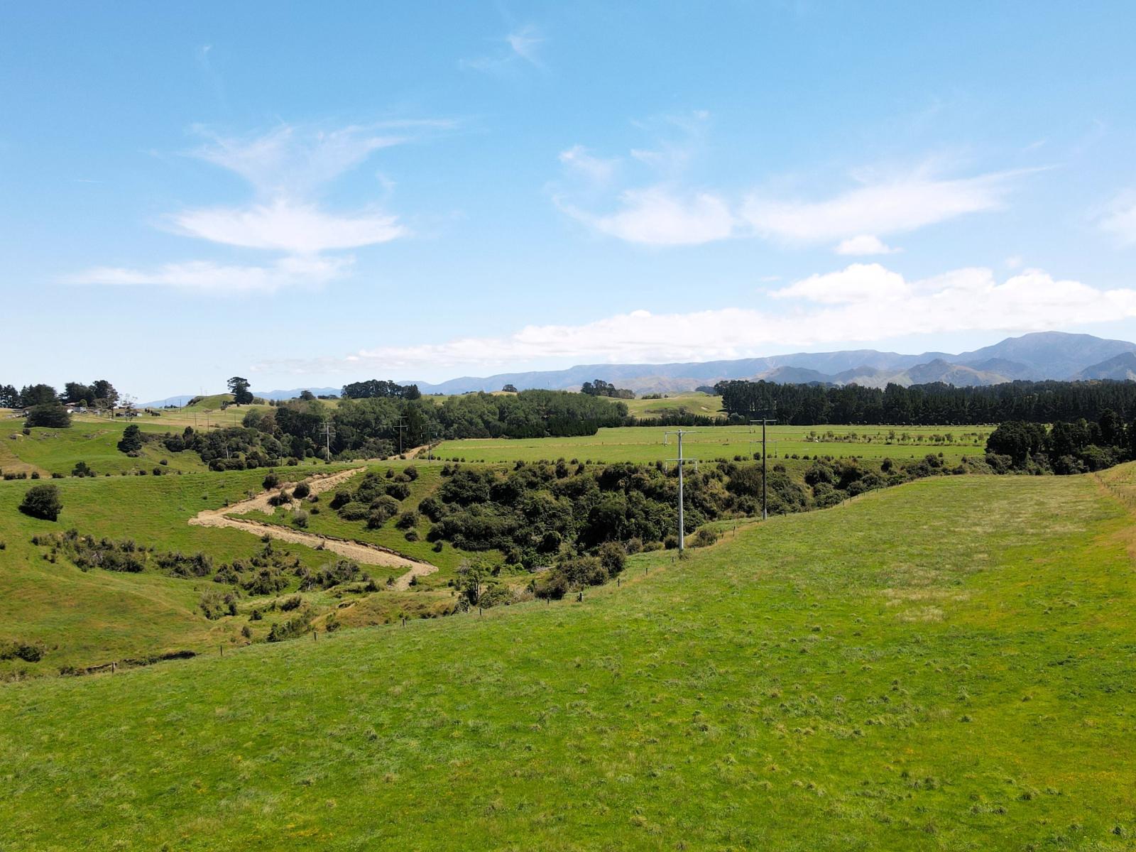 200 Garfield Road, Norsewood