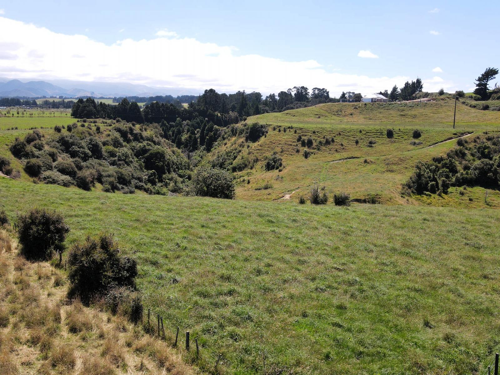 200 Garfield Road, Norsewood