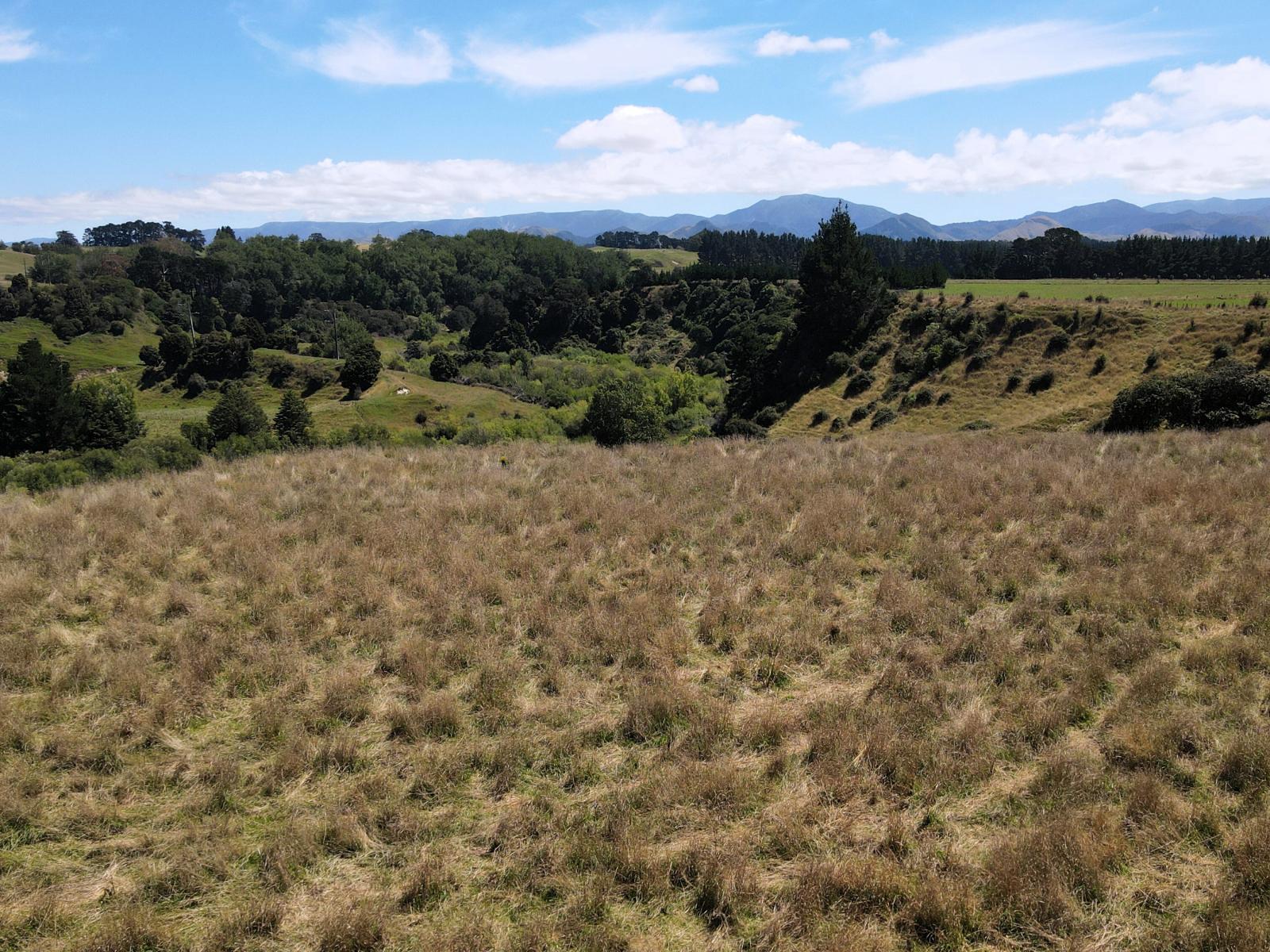 200 Garfield Road, Norsewood