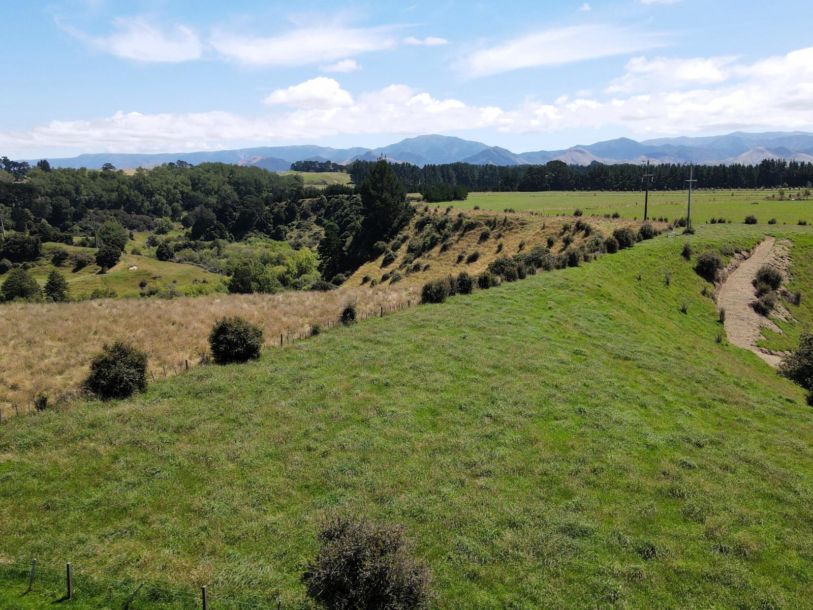 200 Garfield Road, Norsewood