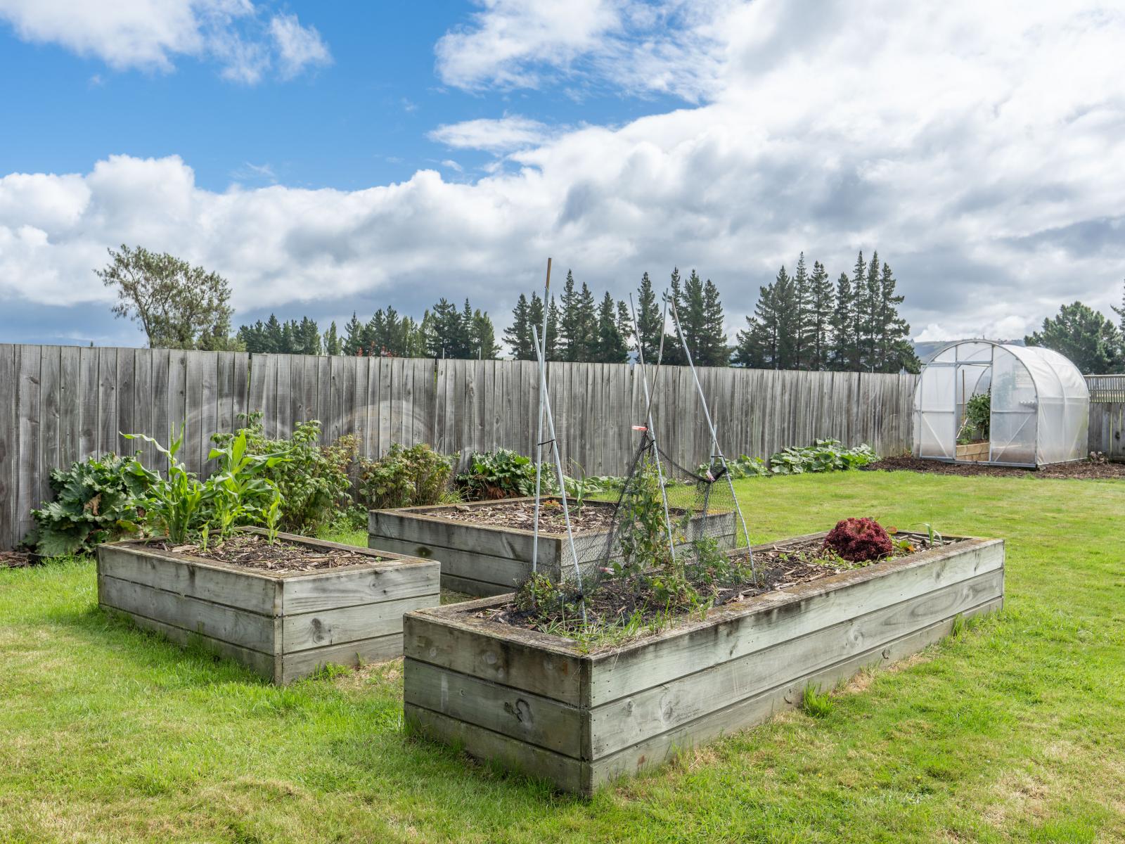 61 Murray Street, Mosgiel