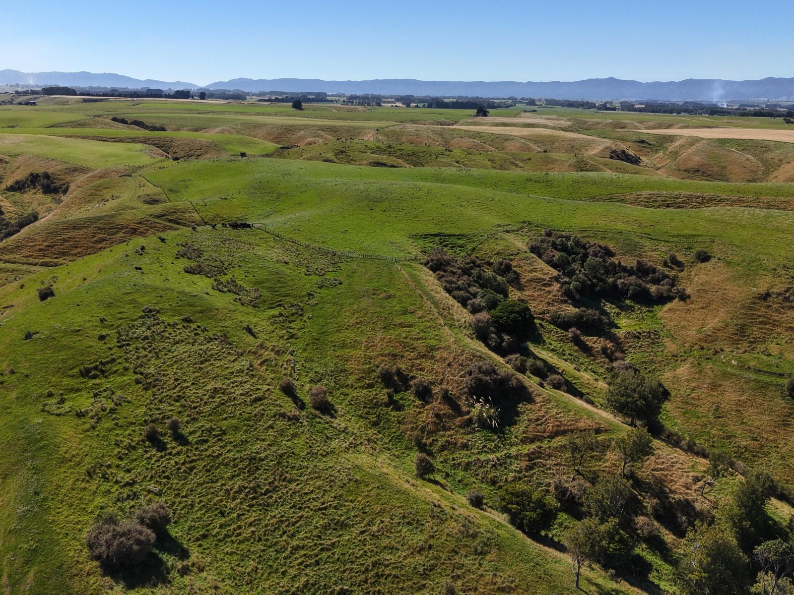 414 Beaconsfield Valley Road, Waituna West