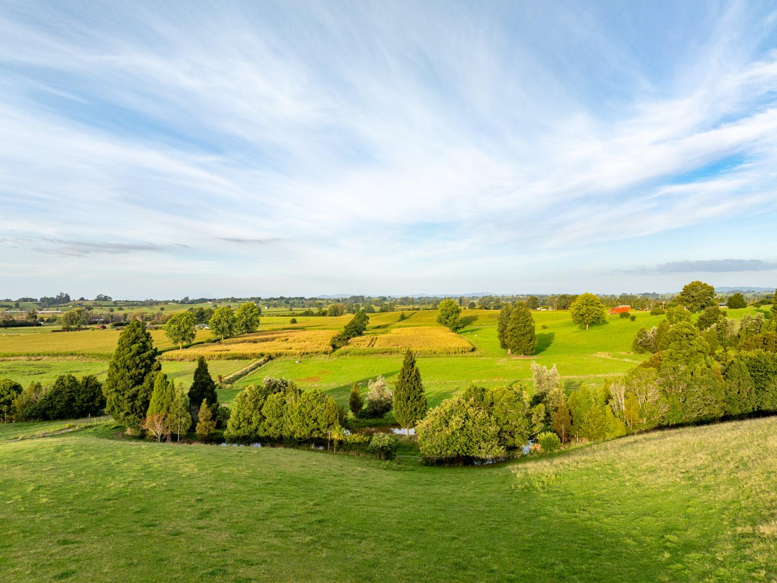 624 Ryburn Road, Ohaupo