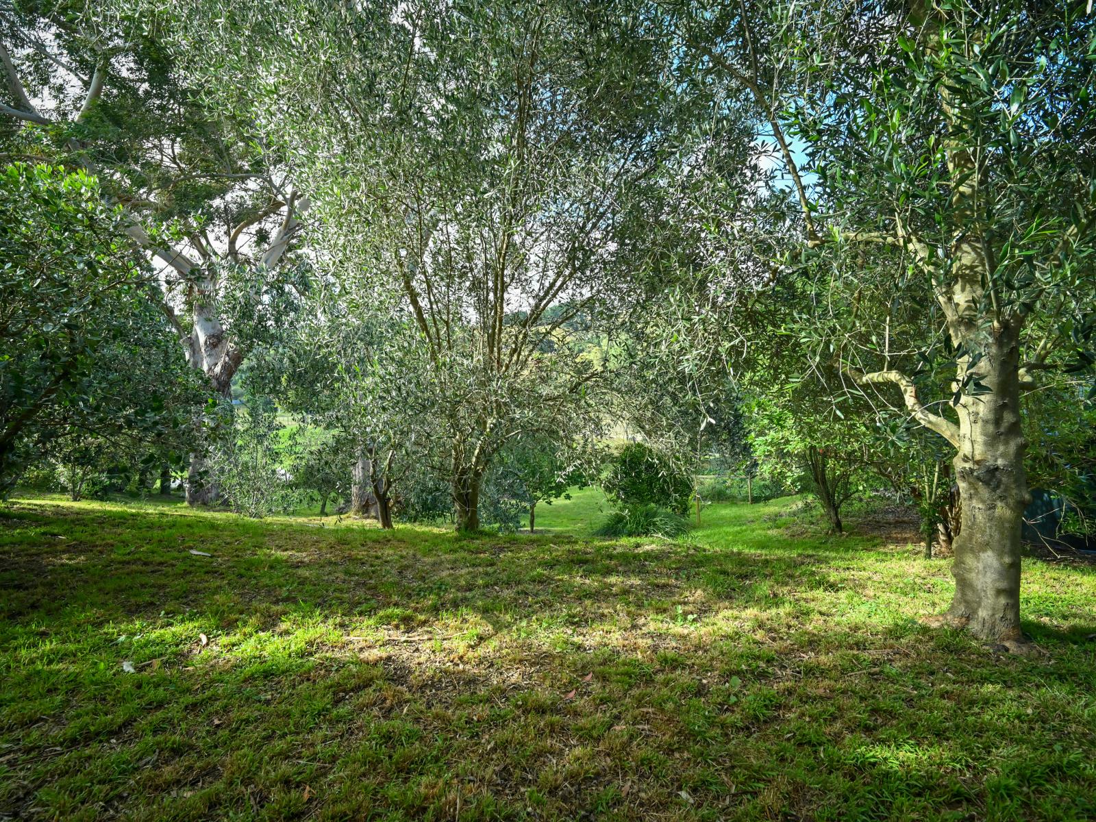 89 Kereru Road, Maraekakaho