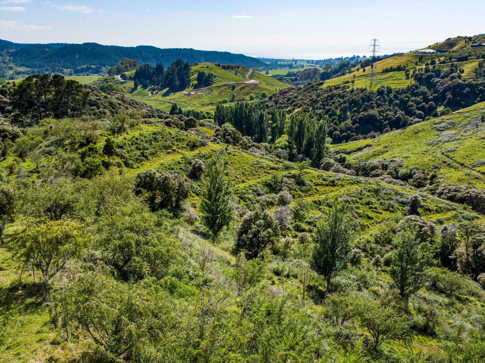 48 Avery Road, Eskdale