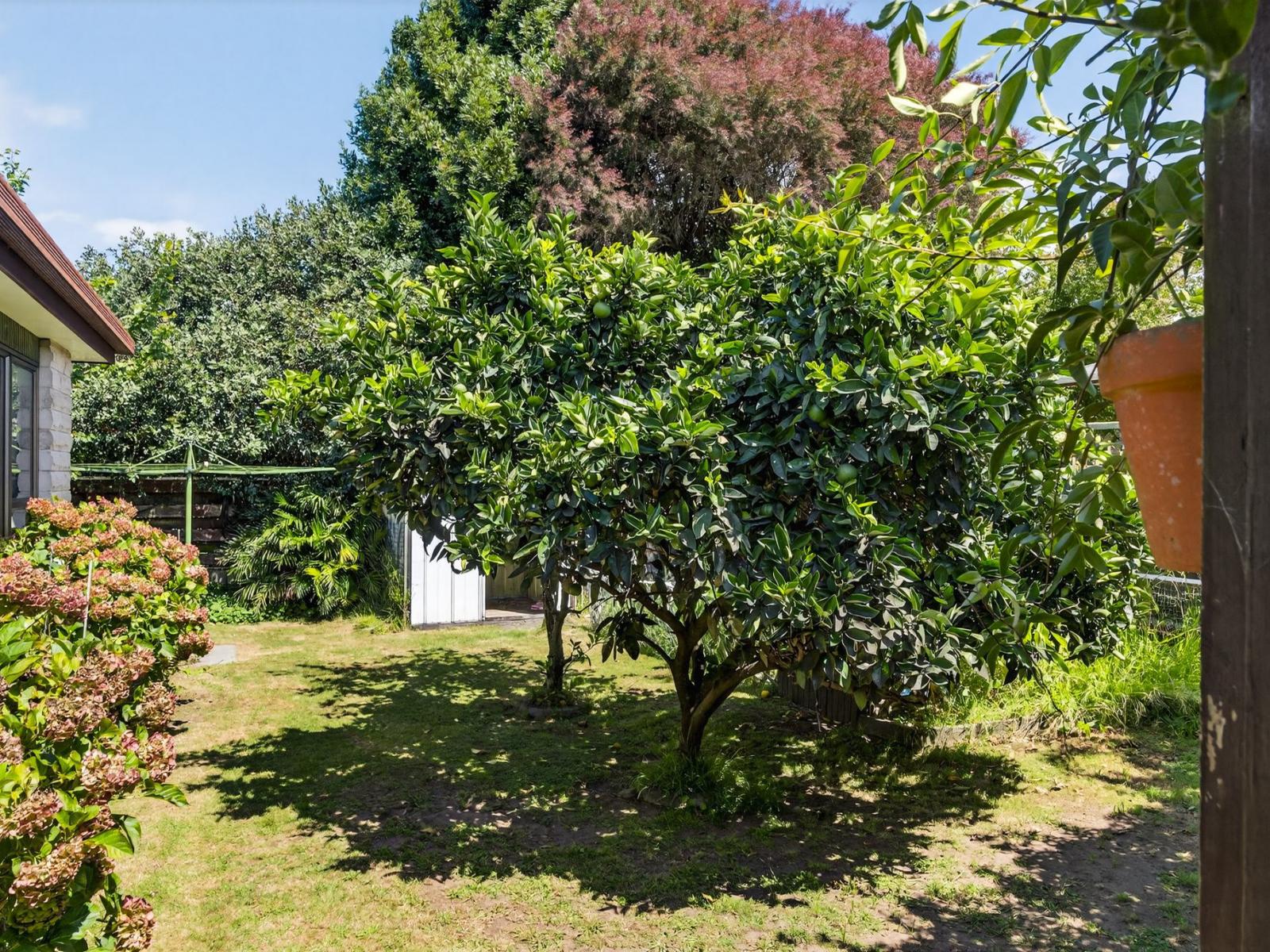 9B Wellington Street, Te hapara