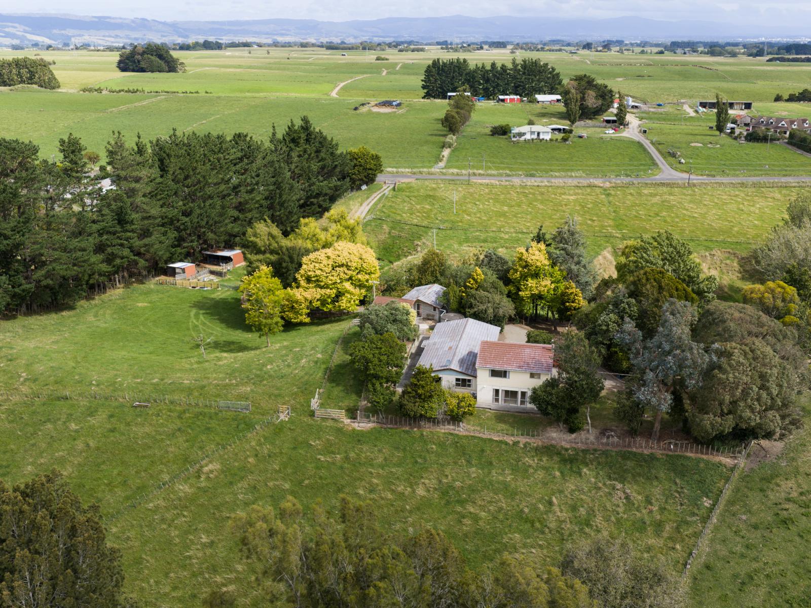 815 Reid Line East, Bunnythorpe