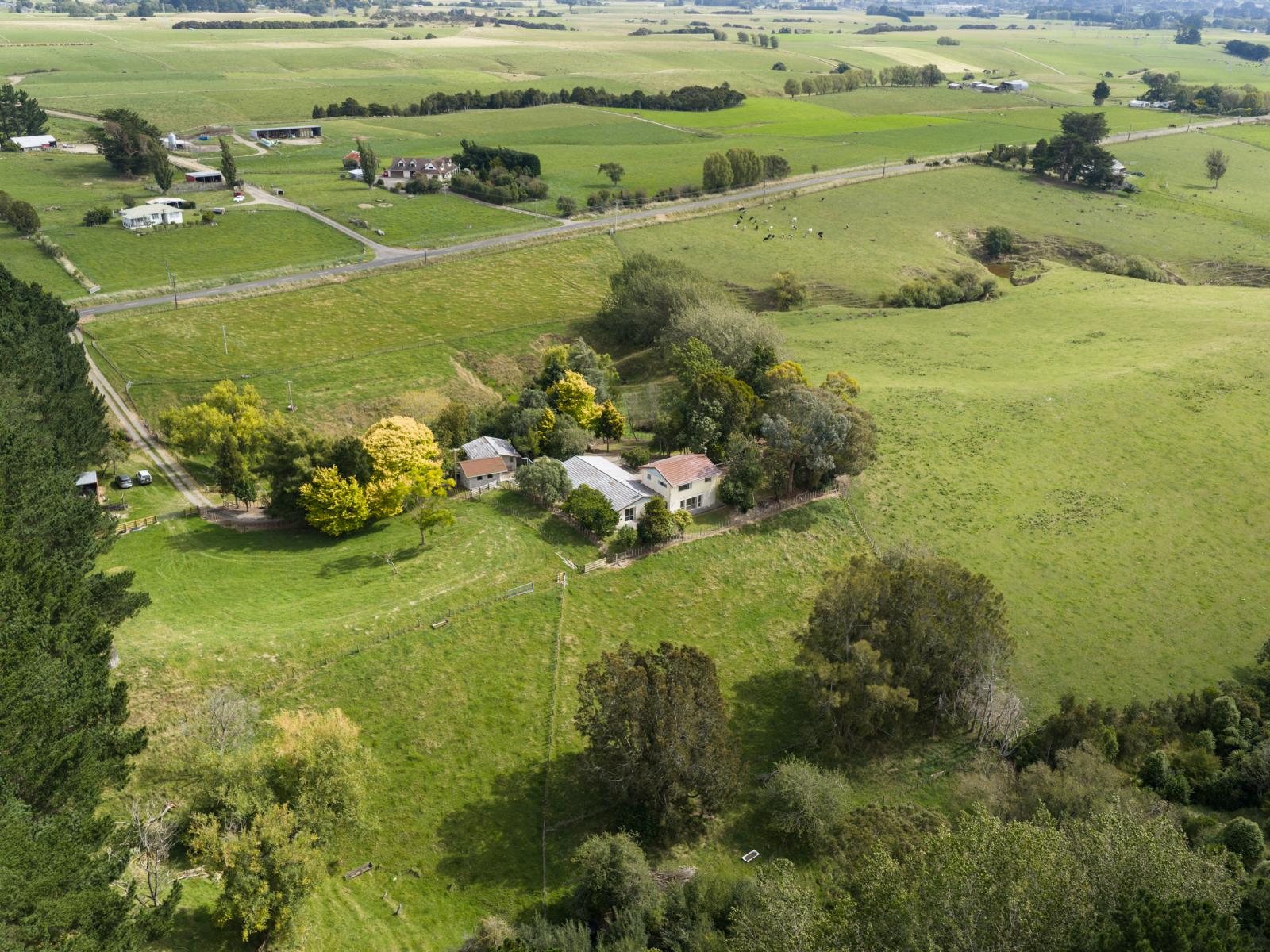 815 Reid Line East, Bunnythorpe