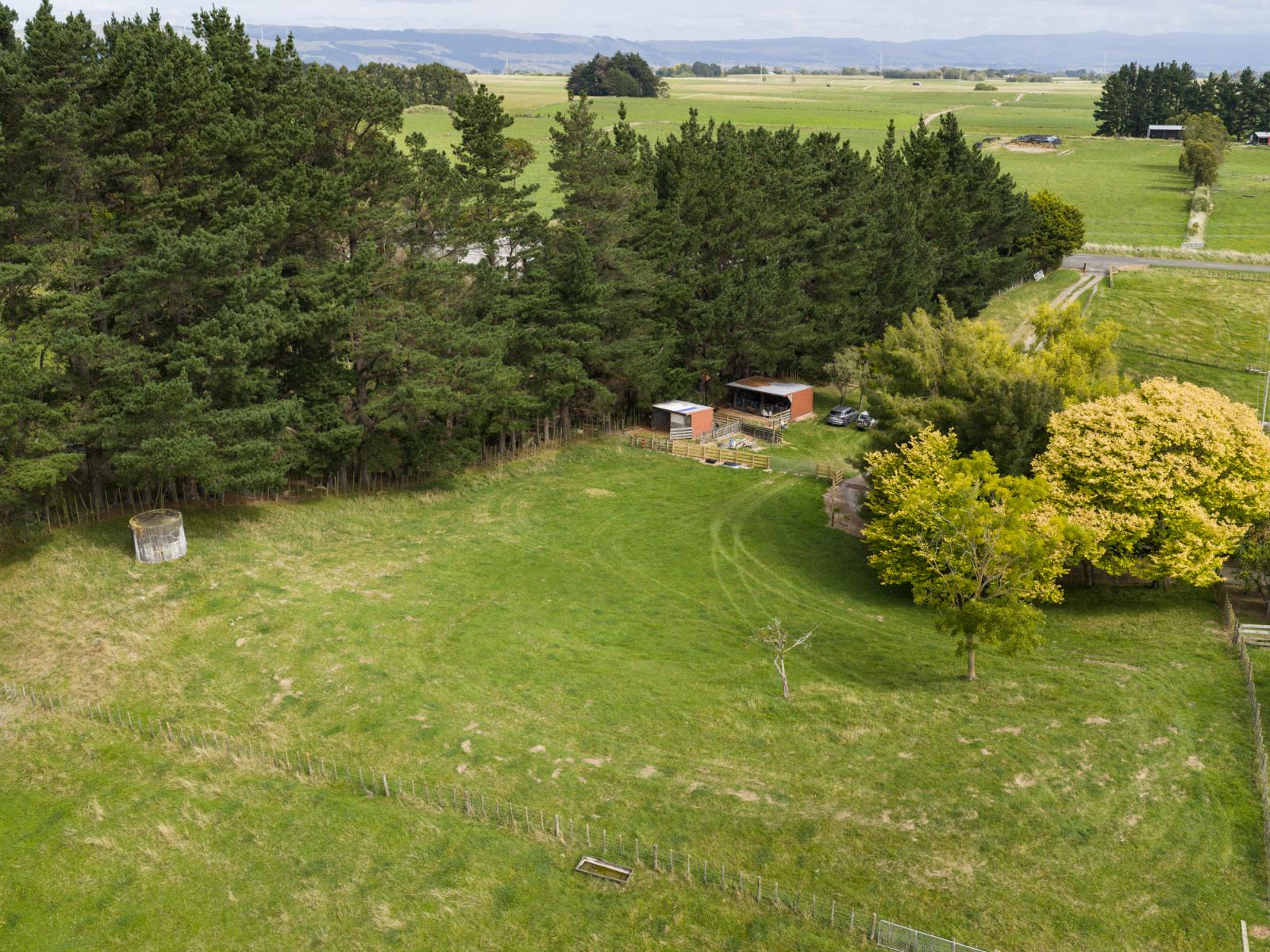 815 Reid Line East, Bunnythorpe