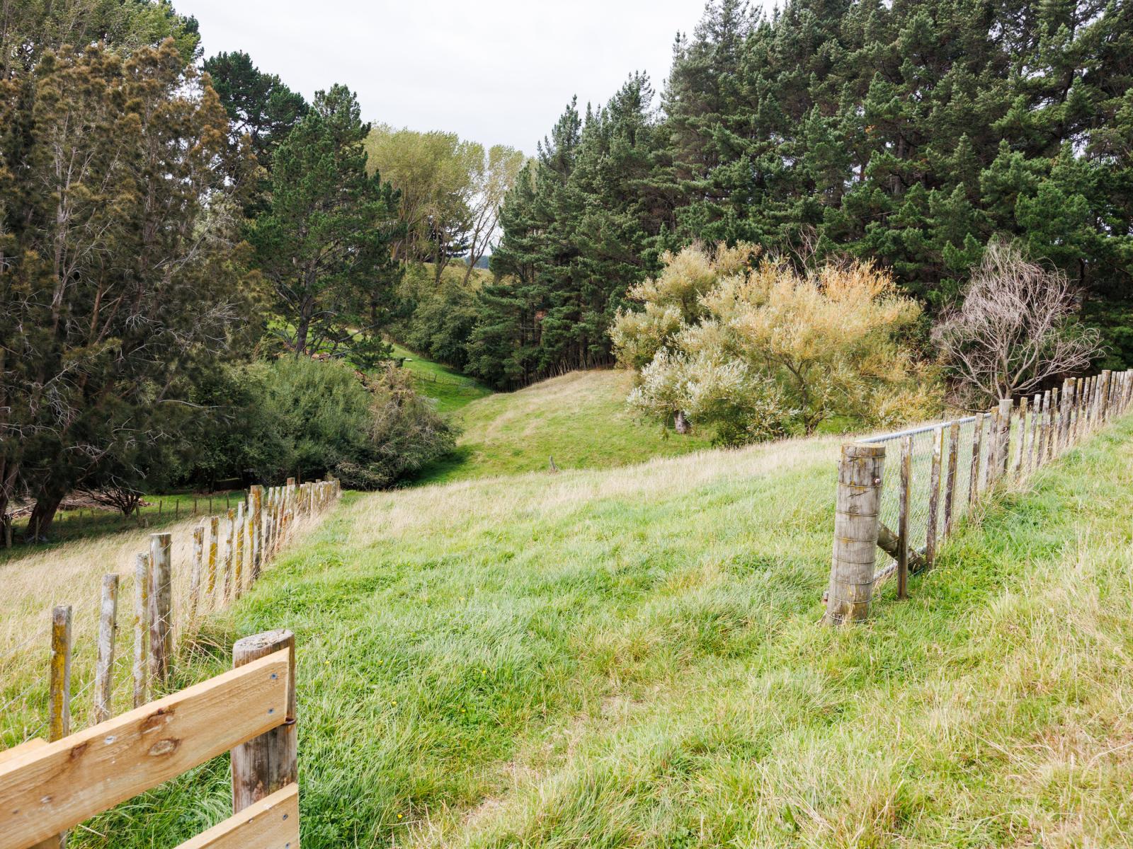 815 Reid Line East, Bunnythorpe