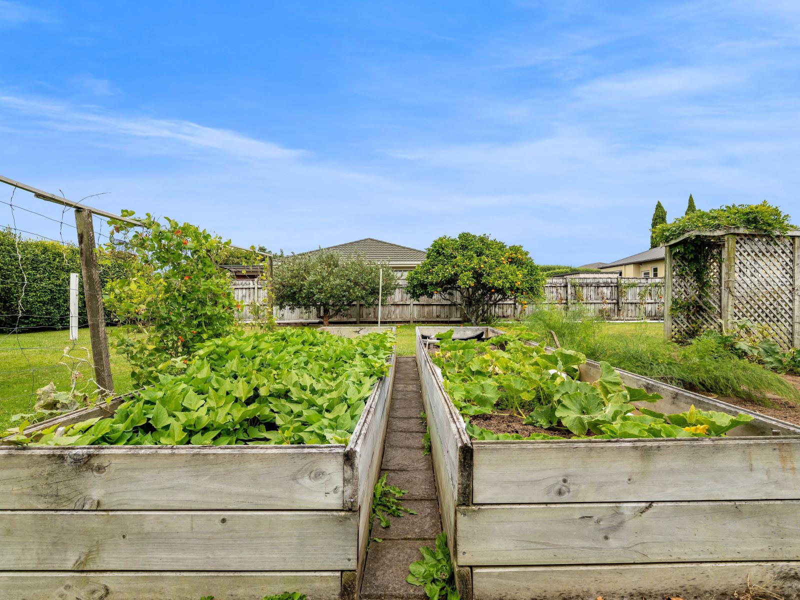 39 Lismore Street, Strandon