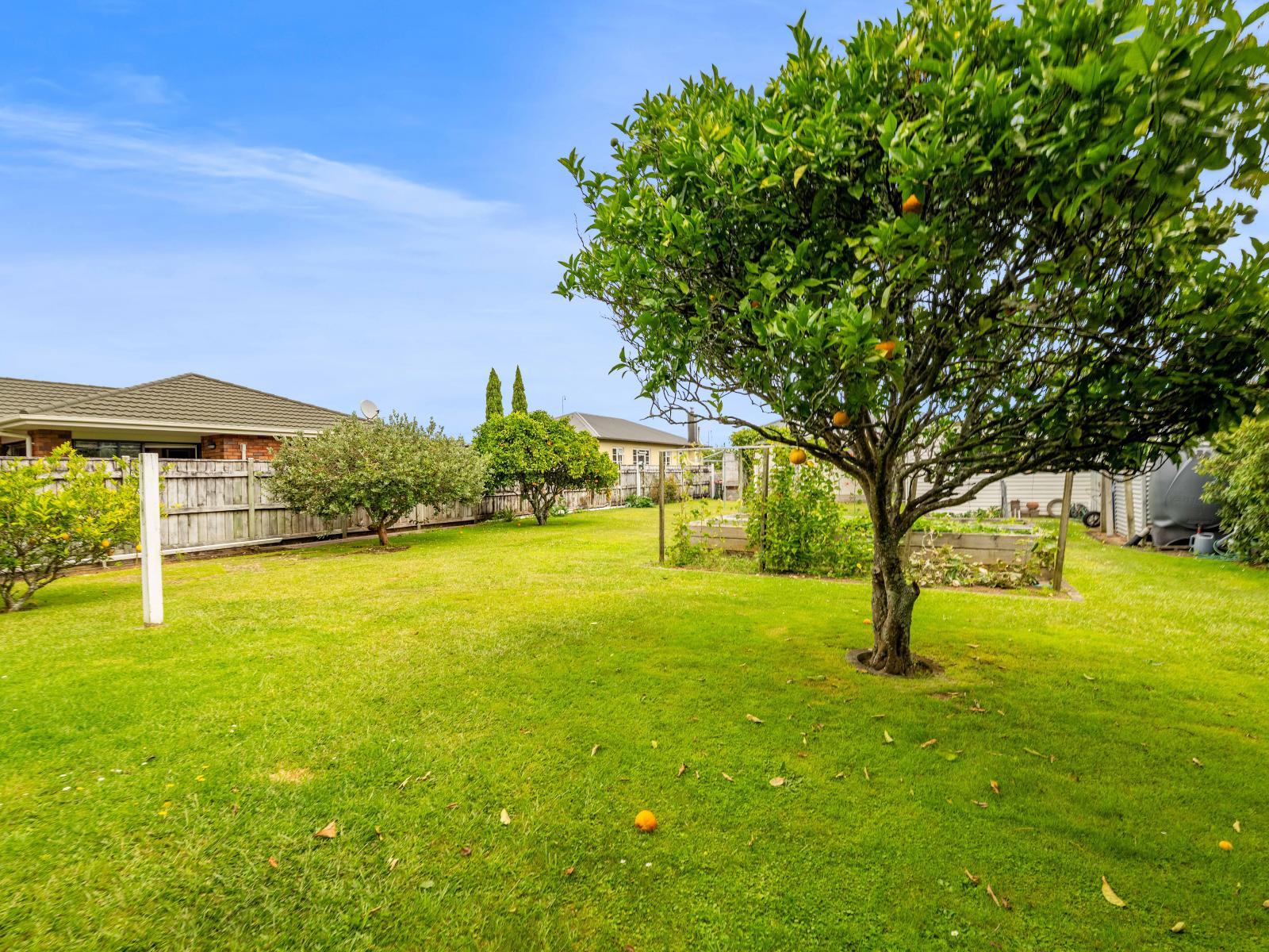 39 Lismore Street, Strandon