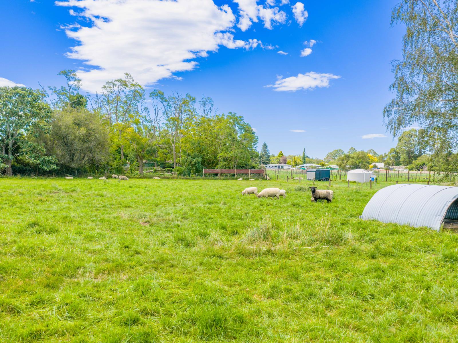 Lot 2, 14 Sedgwick Street, Tikokino