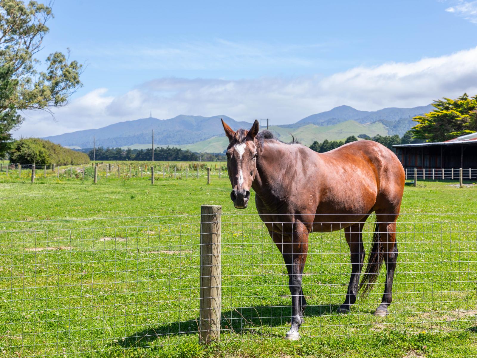 633 Kiritaki Road, Dannevirke