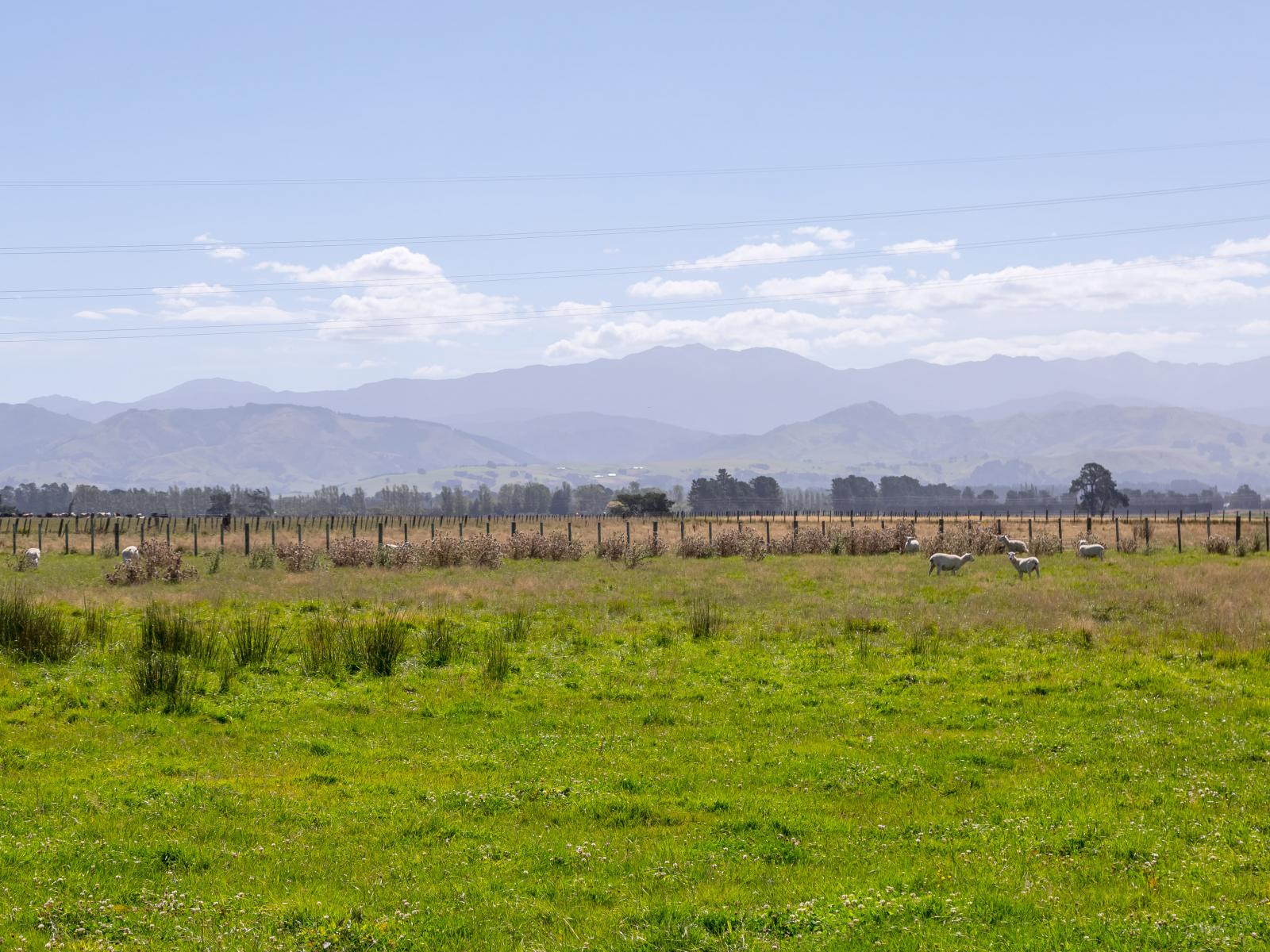445 Perrys Road, East Taratahi