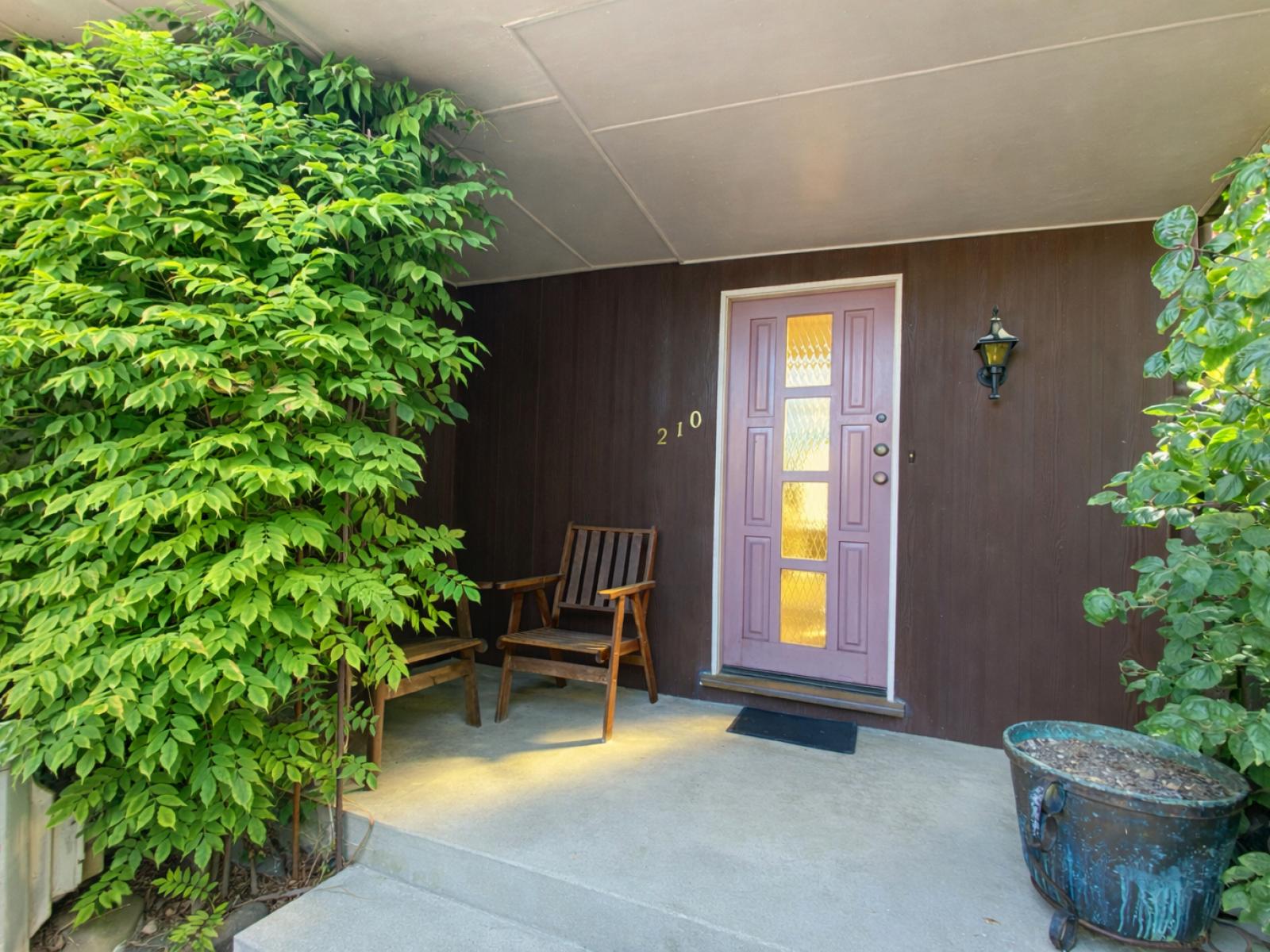 210 Broughton Street, Gore