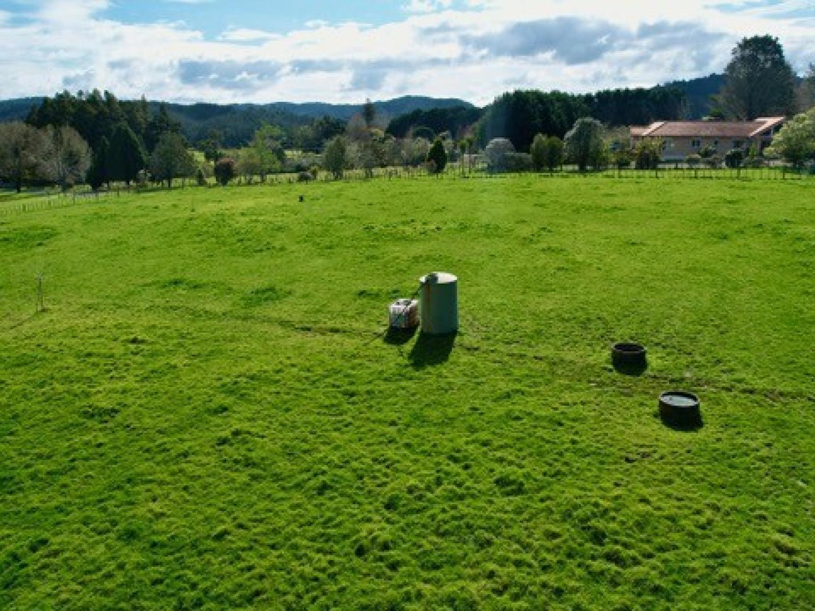 Lot 3 Main Road, Kauri