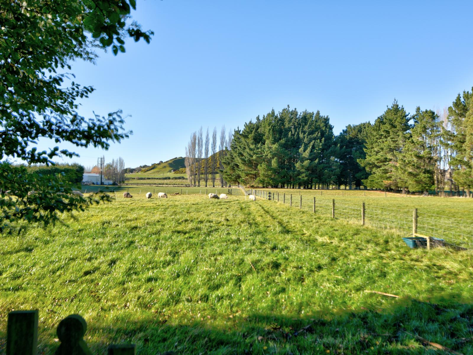 42 Knapdale Road, Whiterigg