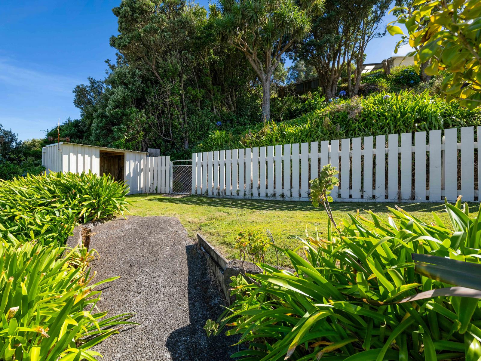 29 Simons Street, Moturoa