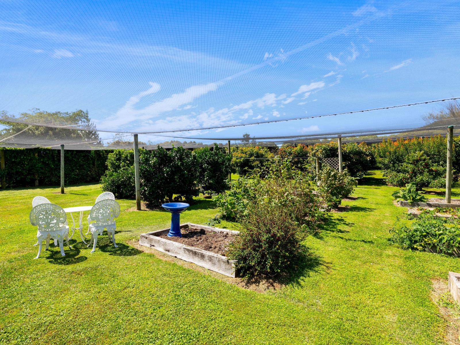 77c Dorset Road, Hillsborough