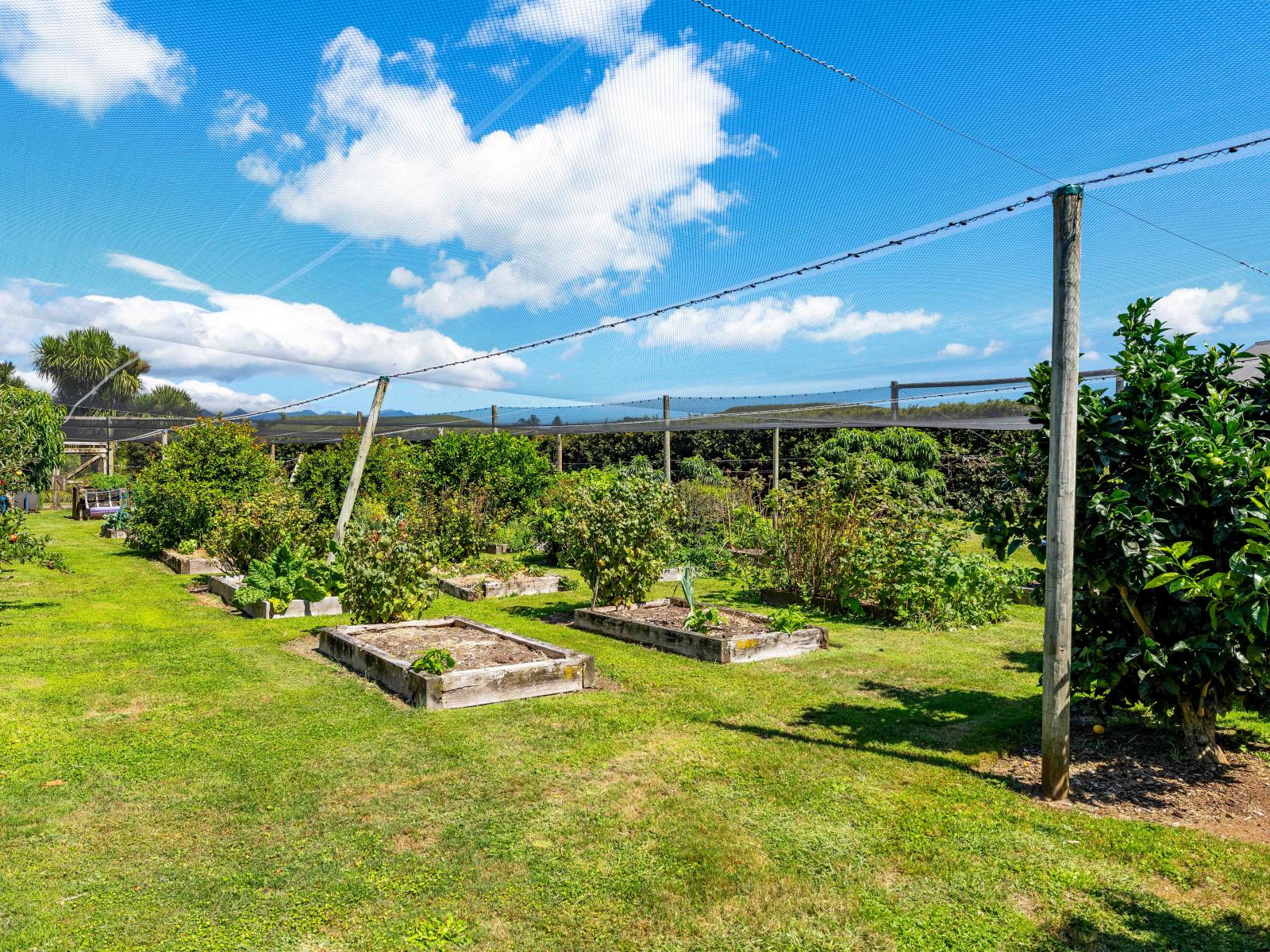 77c Dorset Road, Hillsborough