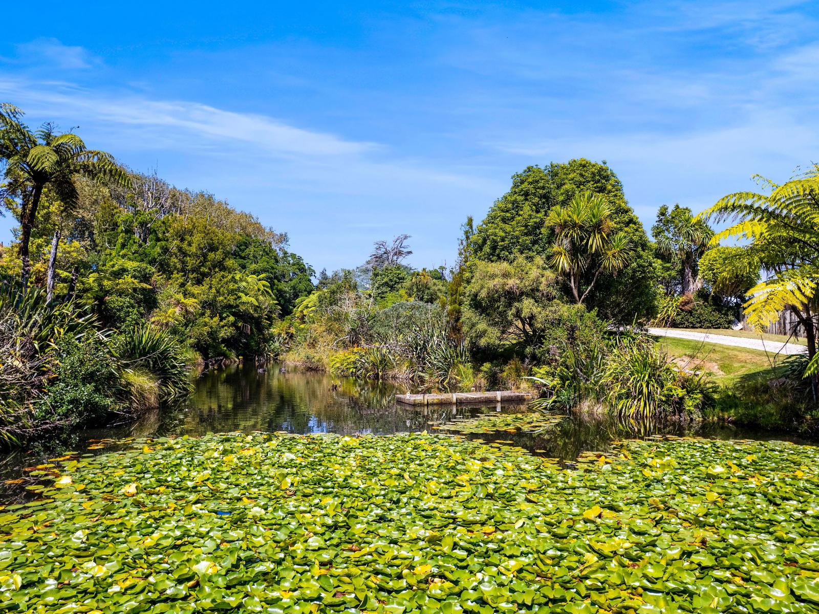 77c Dorset Road, Hillsborough