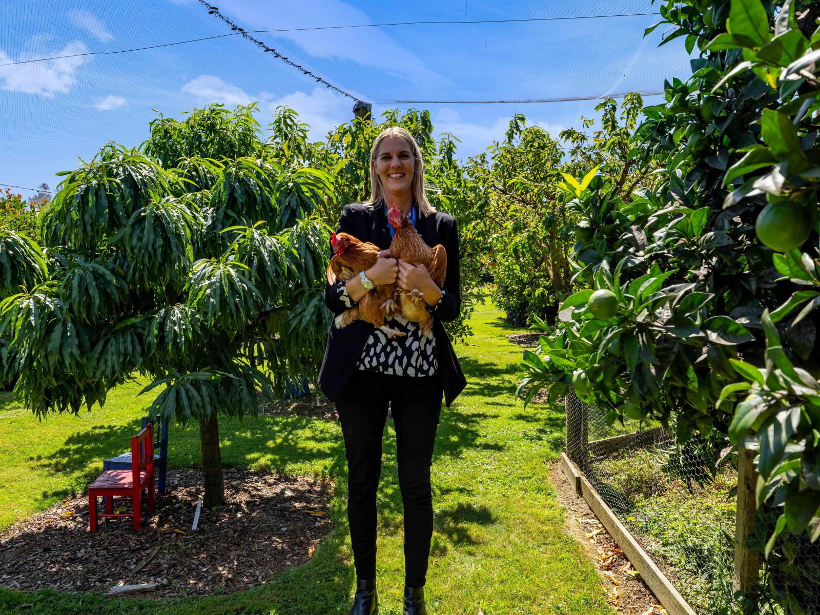 77c Dorset Road, Hillsborough