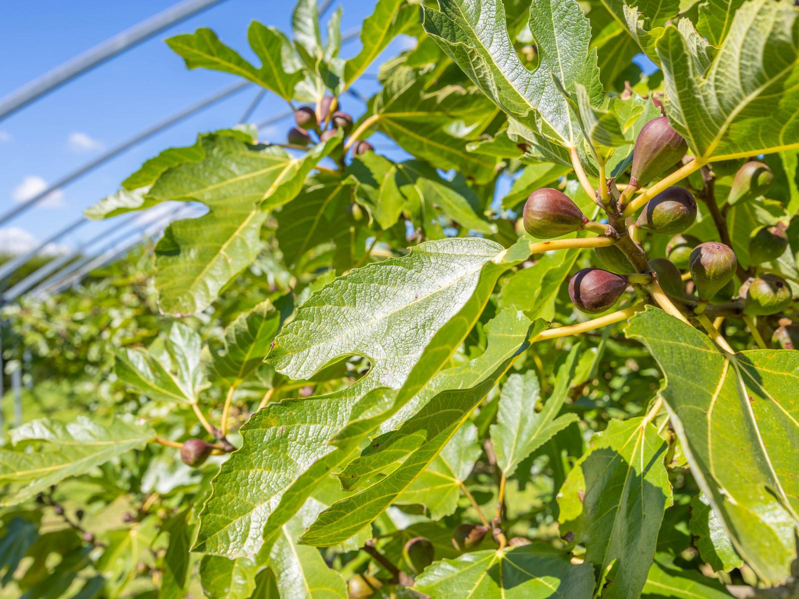 32 Ohinewai Road, Ohinewai