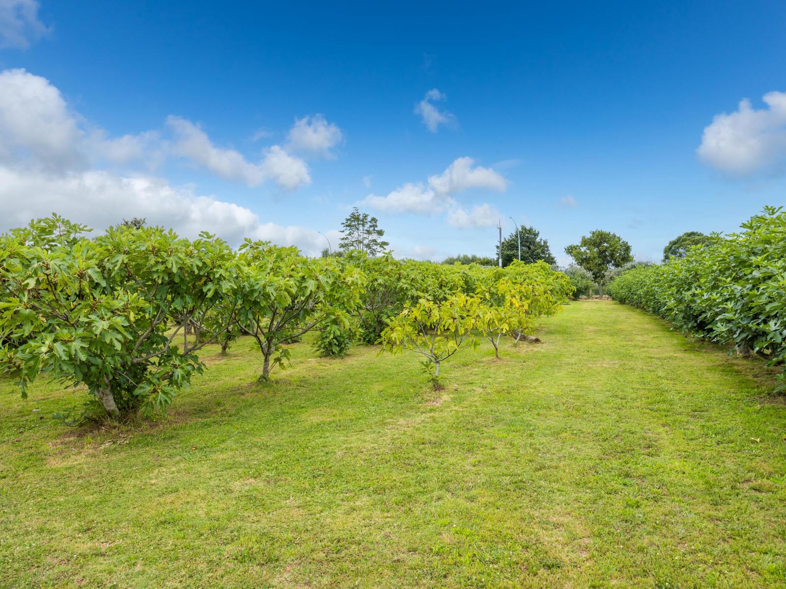 32 Ohinewai Road, Ohinewai