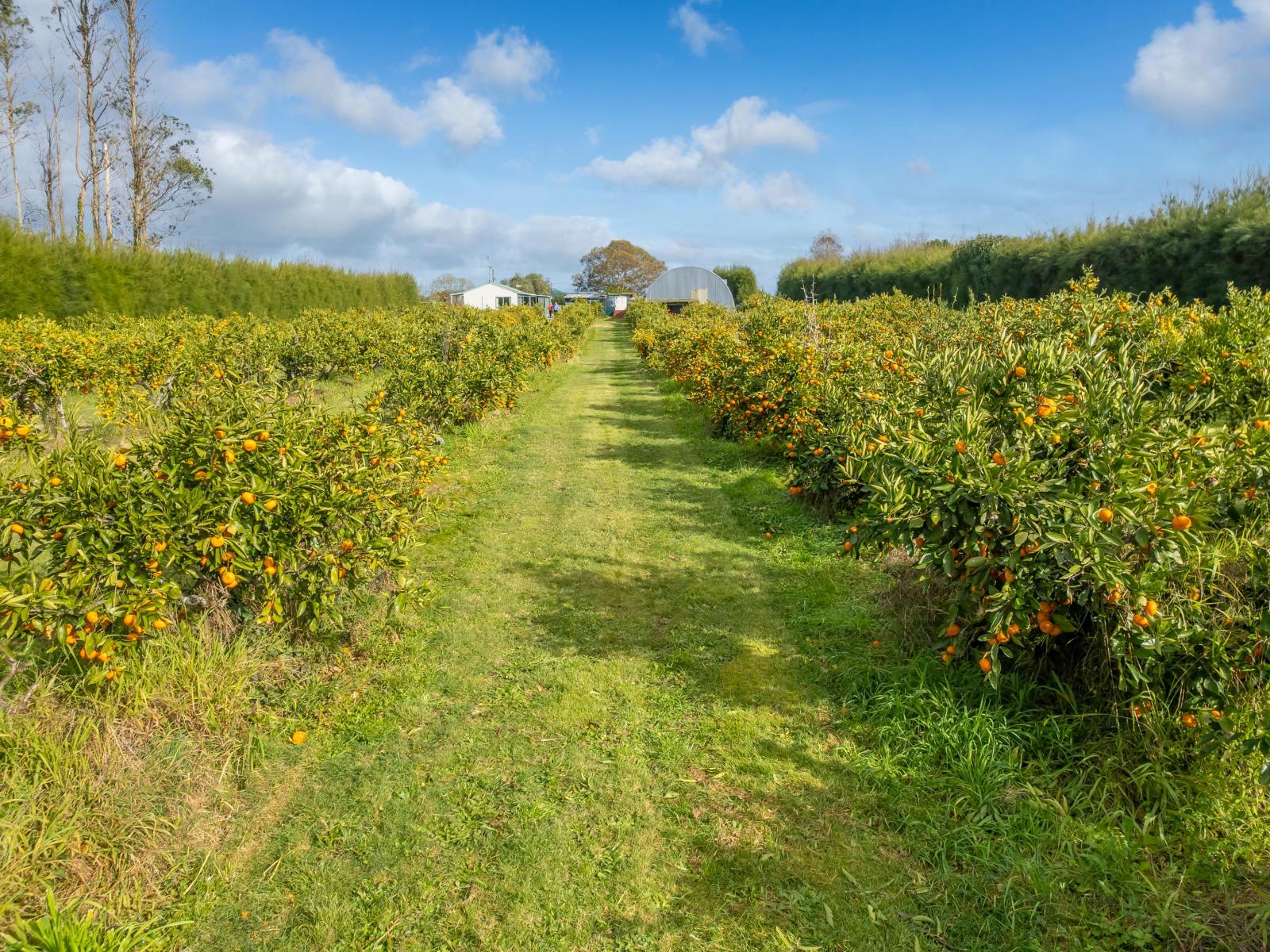 32 Ohinewai Road, Ohinewai