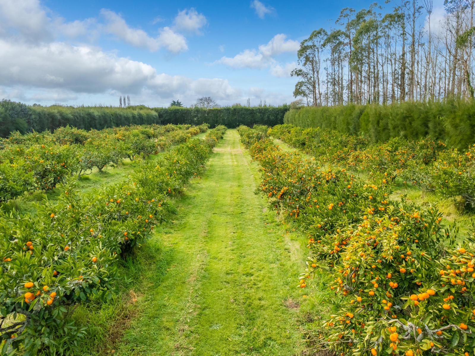 32 Ohinewai Road, Ohinewai
