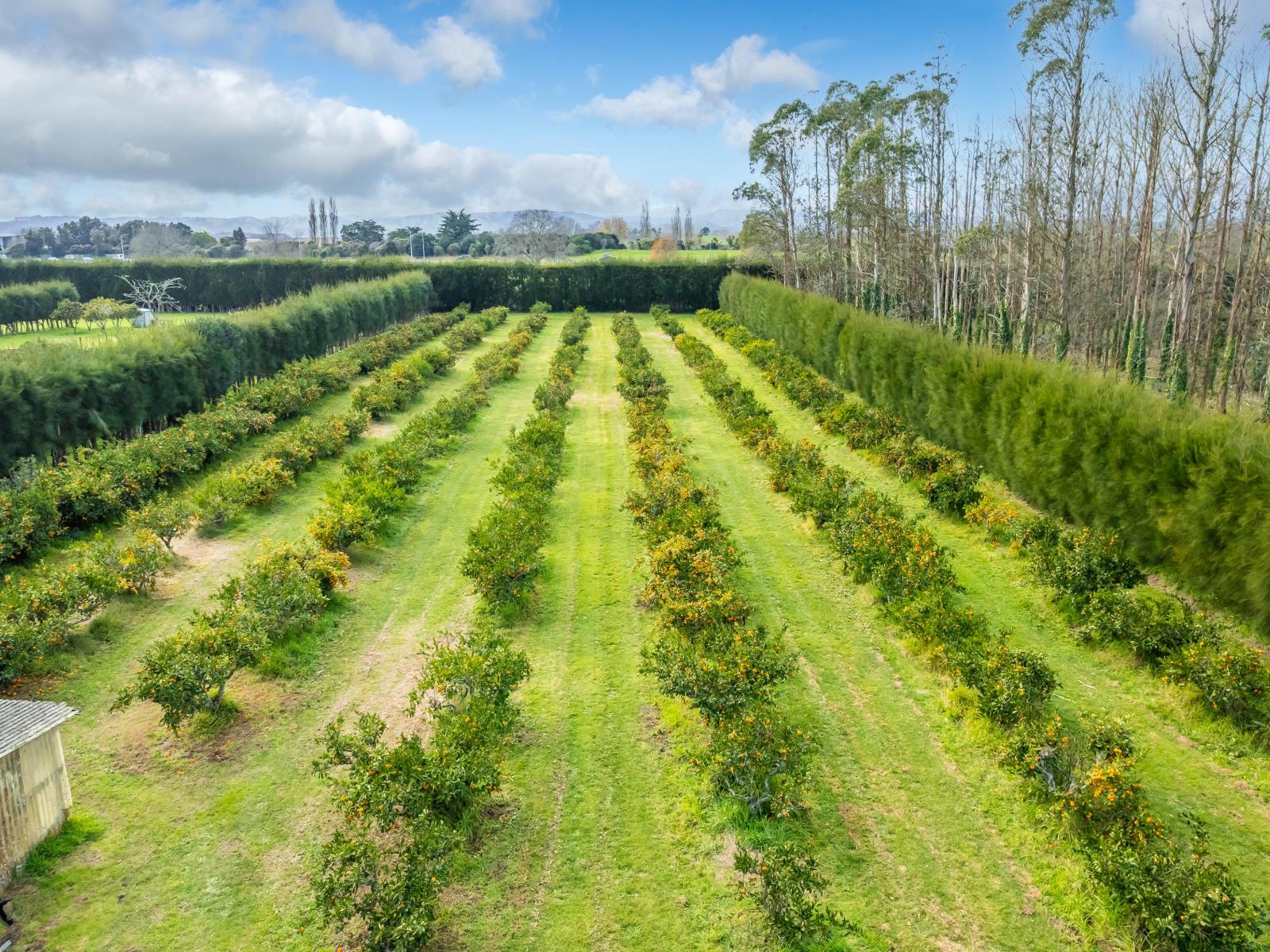 32 Ohinewai Road, Ohinewai